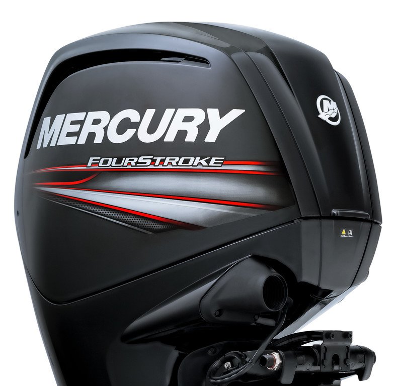 Mercury 100 CV ELPT à vendre - Photo 4