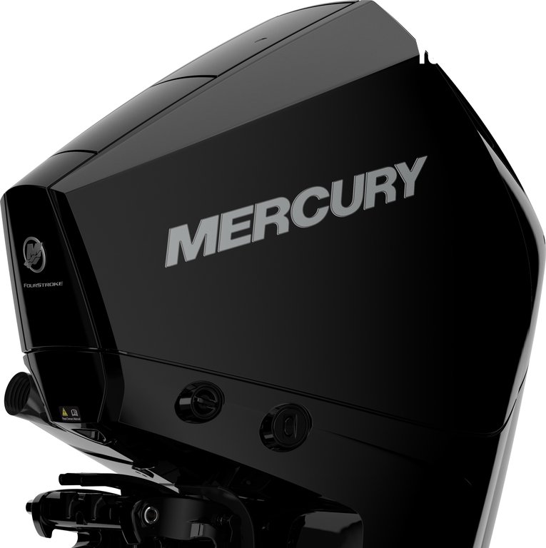 Mercury 175 CV L-XL à vendre - Photo 7