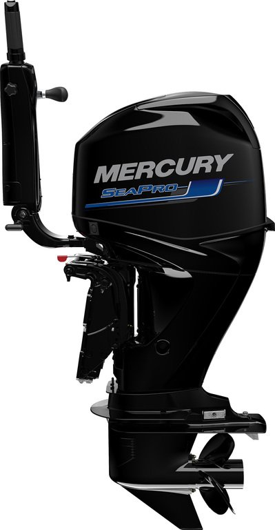 Mercury 60 CV SEAPRO � vendre - Photo 1