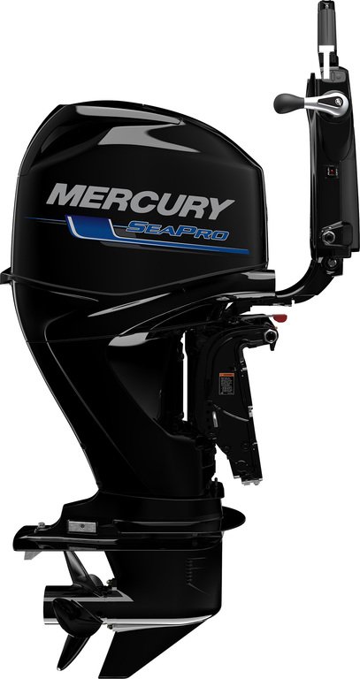 Mercury 60 CV SEAPRO  à vendre - Photo 2