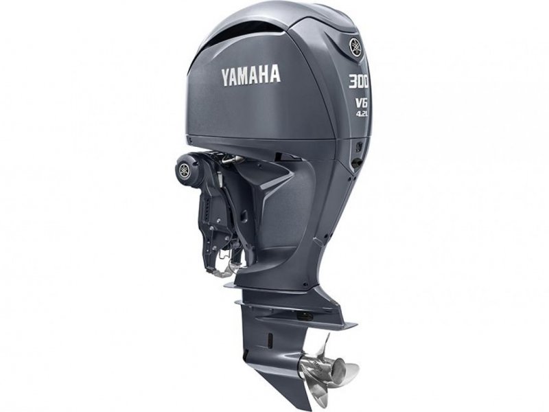 Yamaha F300 NCB 4.2 L � vendre - Photo 1