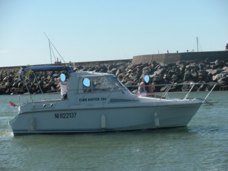 Eider Marine Fish Rover 760 à vendre - Photo 2