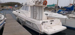 achat bateau Faeton Faeton 980 Moraga