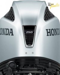 Honda 250 cv  NOUVEAU V6  (long / extra long / ultra long) � vendre - Photo 5