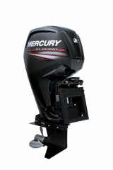 Mercury 100 CV ELPT � vendre - Photo 6
