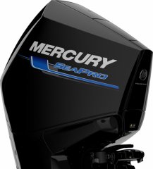 Mercury 250 CV SEAPRO � vendre - Photo 3