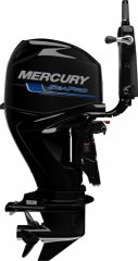 Mercury 60 CV SEAPRO � vendre - Photo 2