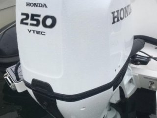 Honda BF250 DXDU neuf